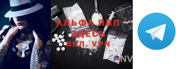 индика Кукмор