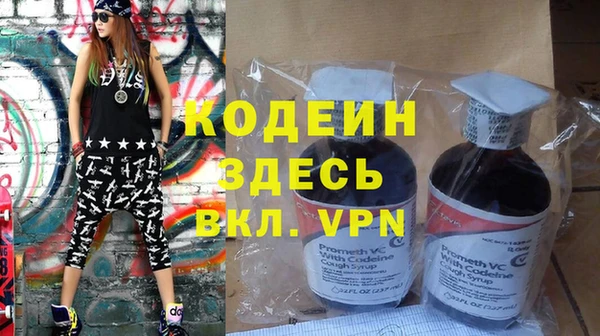 крисы Кулебаки