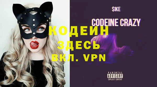 индика Кукмор