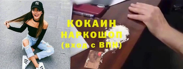 индика Кукмор