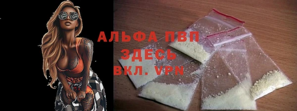 индика Кукмор