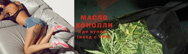 крисы Кулебаки