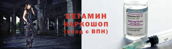 крисы Кулебаки