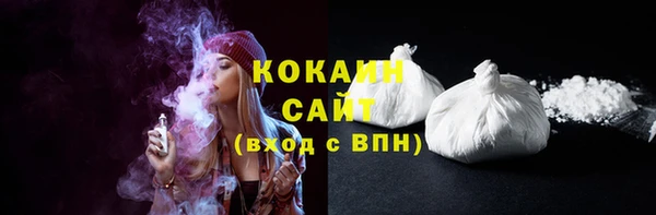 индика Кукмор