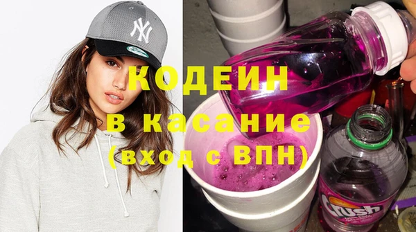 крисы Кулебаки