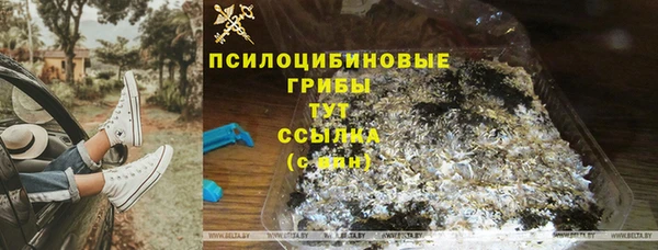 apvp Куйбышев