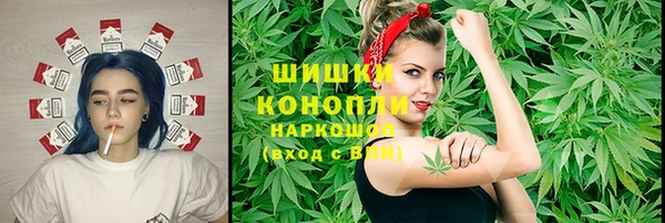 крисы Кулебаки