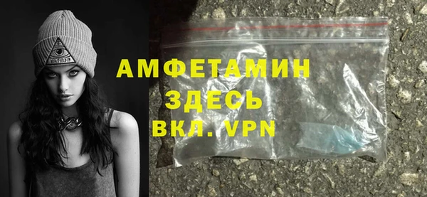крисы Кулебаки