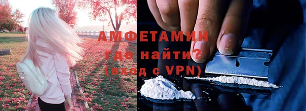 индика Кукмор