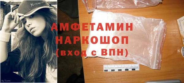 крисы Кулебаки