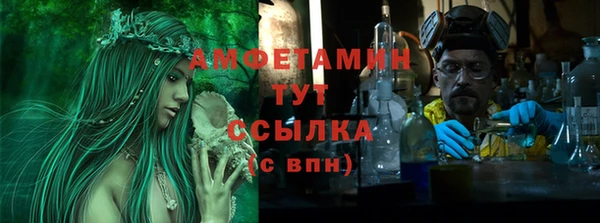 крисы Кулебаки