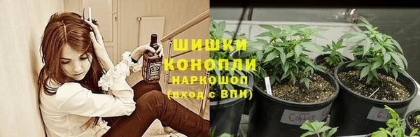 индика Кукмор