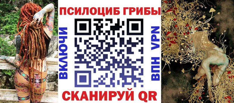 Псилоцибиновые грибы ЛСД  Купить где  Данков 
